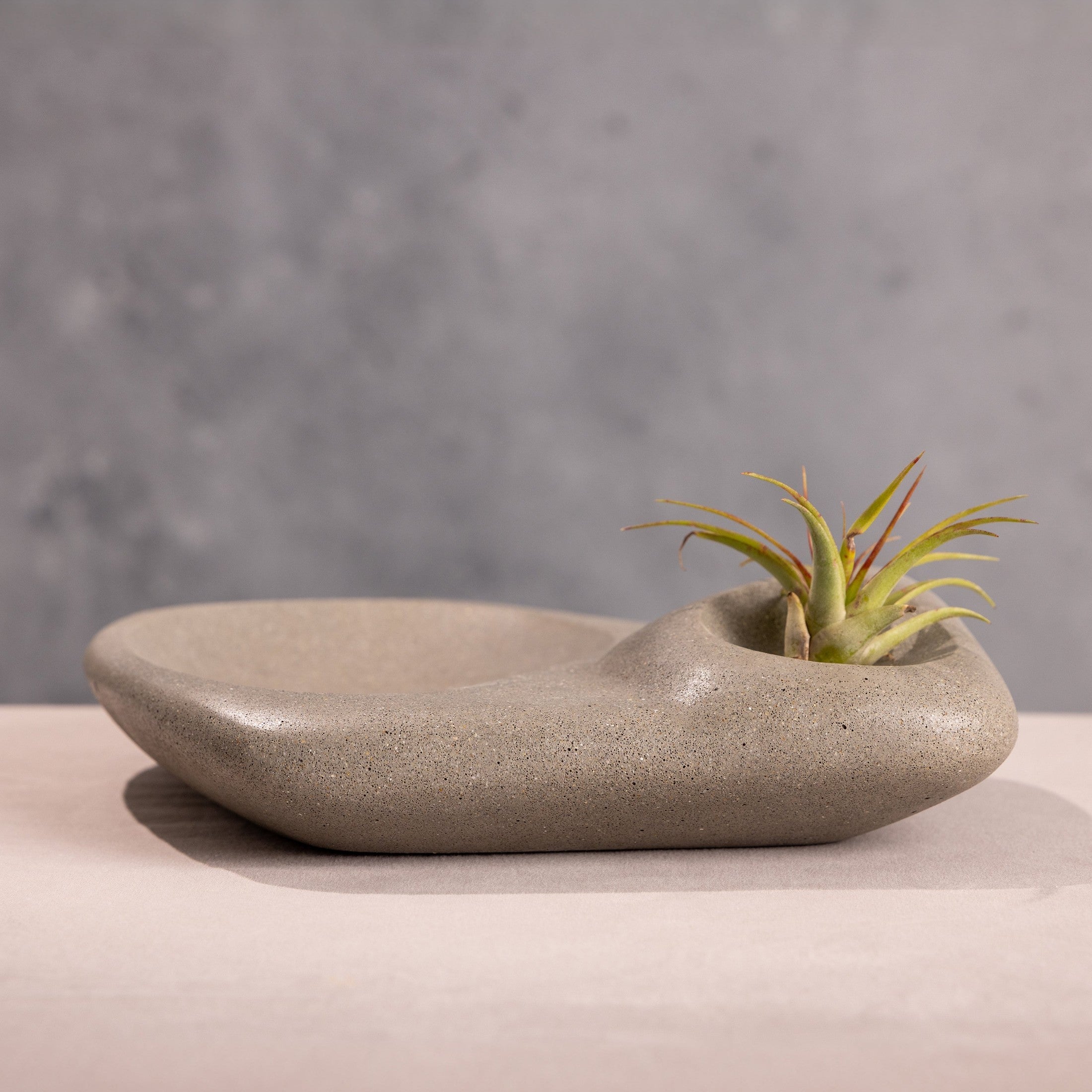 Tide Pool Platter Concrete Ocean Stone Centerpiece by Patrick Cain Designs