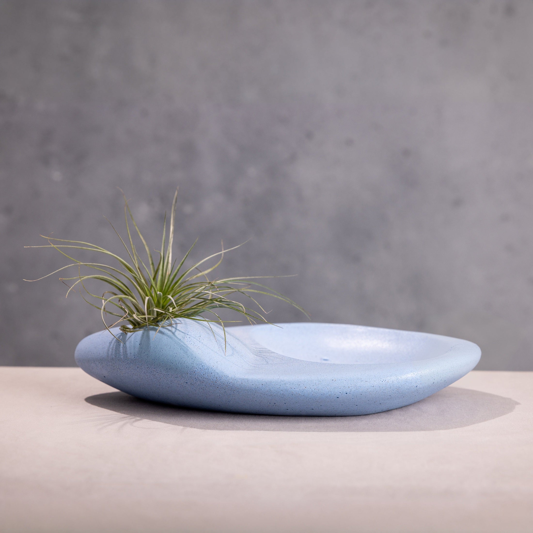 Tide Pool Platter Concrete Ocean Stone Centerpiece by Patrick Cain Designs