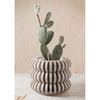 Triple Bubble Orchid Planter
