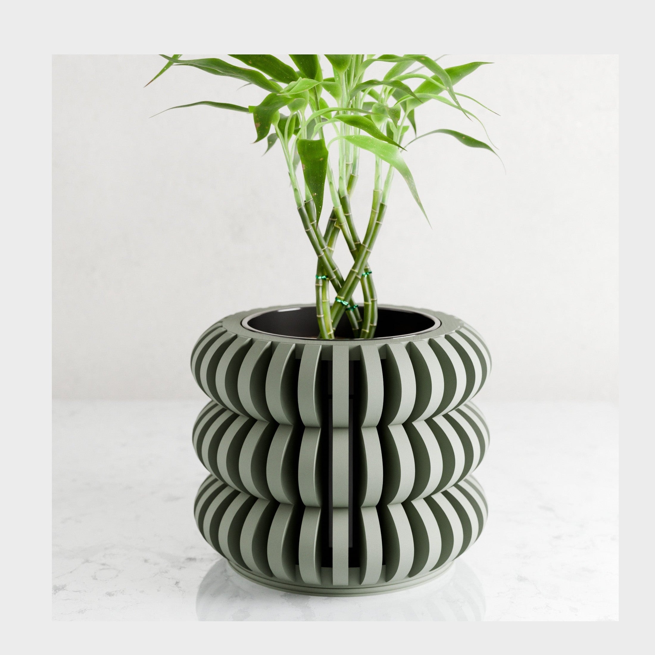 Triple Bubble Orchid Planter