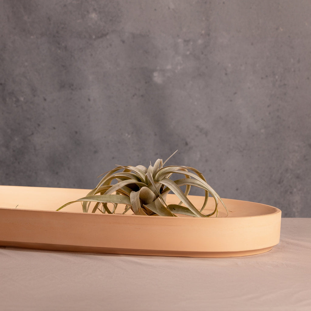 Valley Oval Platter by Patrick Cain Designs