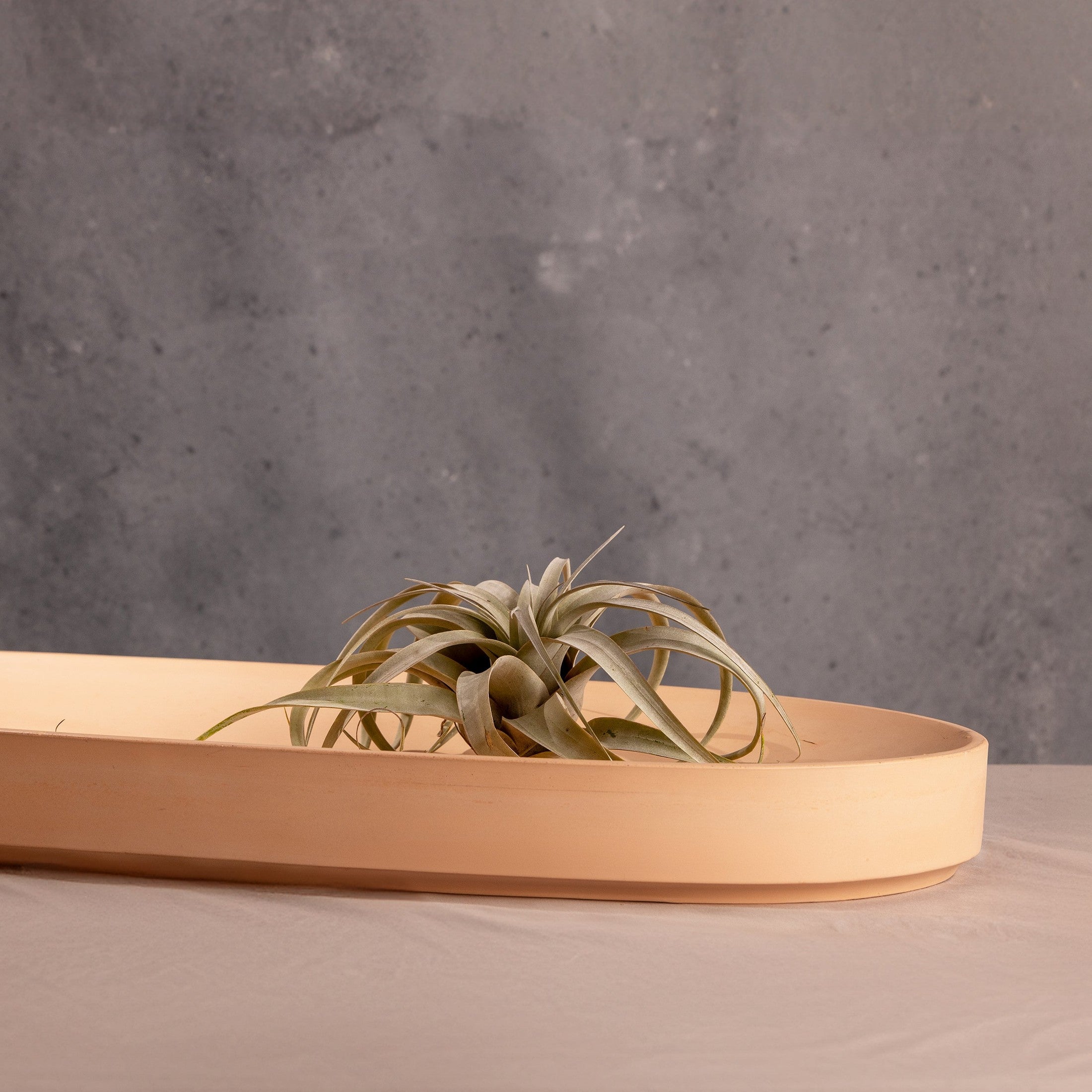Valley Oval Platter by Patrick Cain Designs
