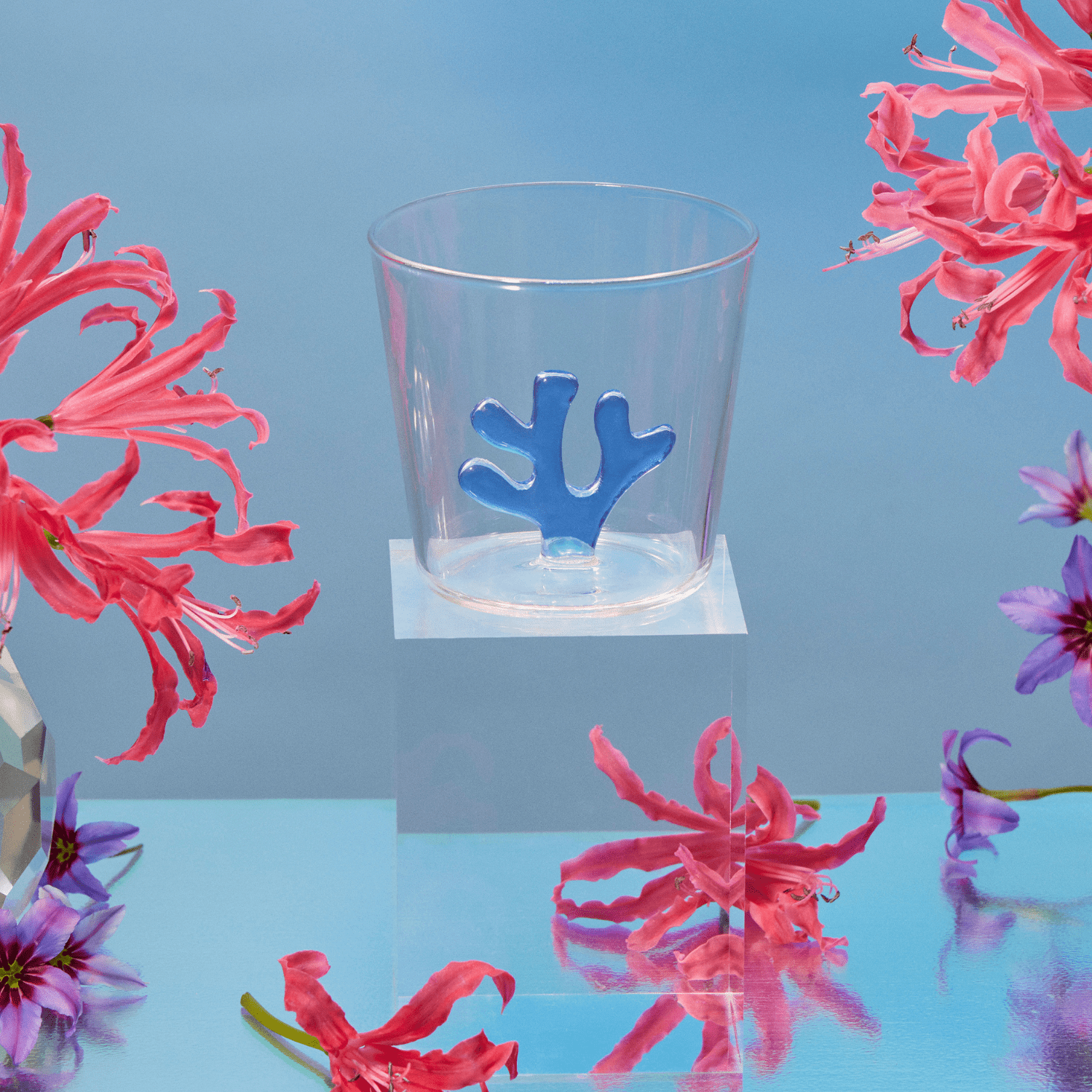 Water Tumblers