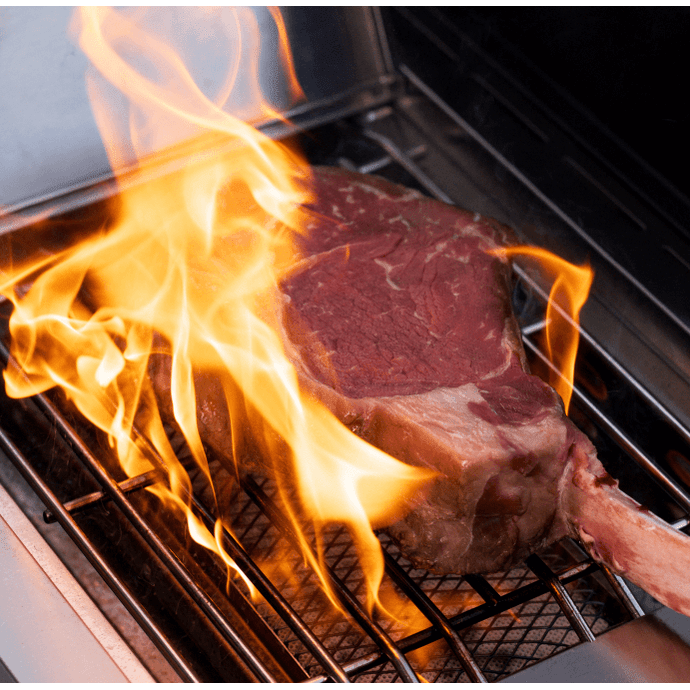 Premium Stainless Steel Gas Grill | Monument Grills